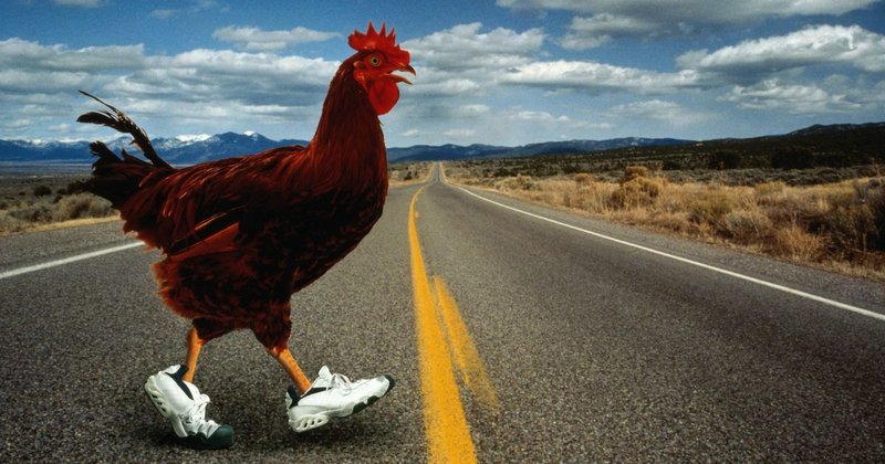 Descubre el secreto detrás del juego viral de Chicken Road en España in Spain